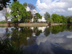 výstava